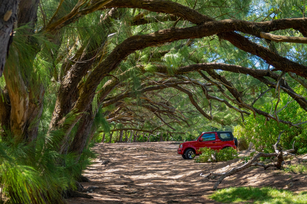 Shiny,Red,Jeep,Is,Parked,In,The,Shade,Under,The