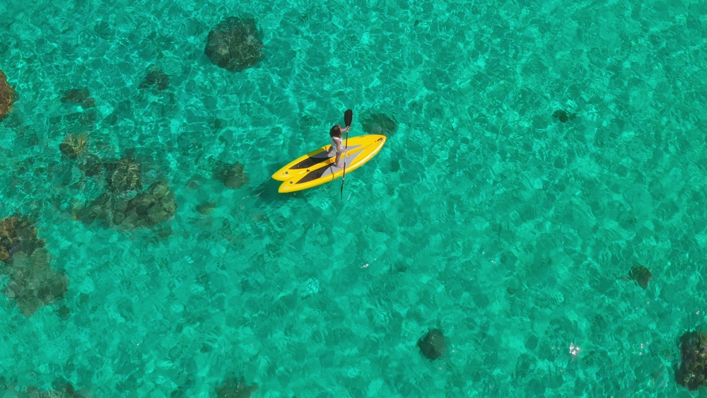 Woman,Gracefully,Gliding,On,A,Stand,Up,Paddle,Board,In