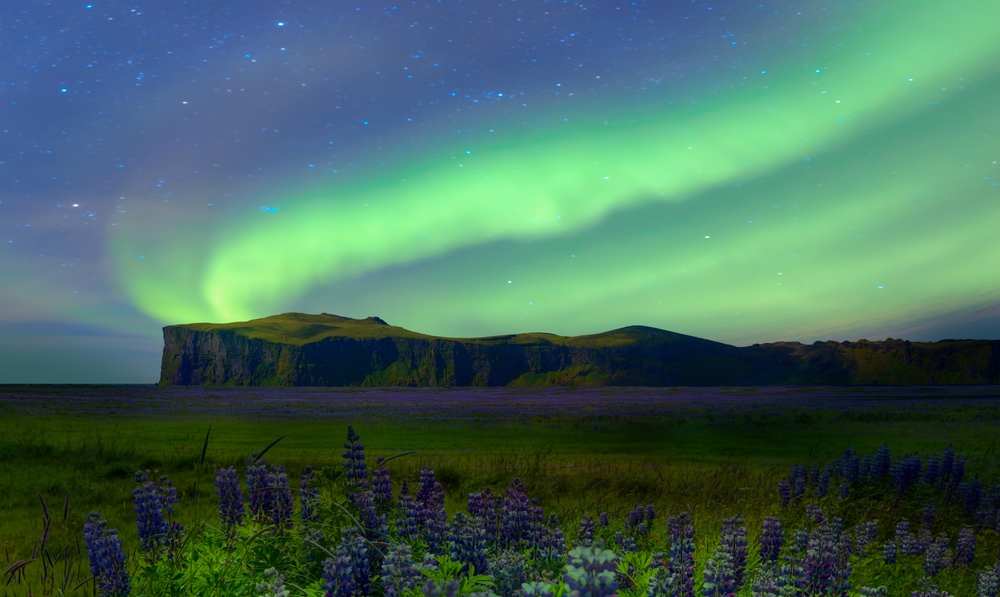 Aurora,Borealis,Or,Northern,Lights,Over,Iceland,Blooming,Icelandic,Purple